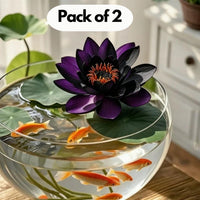 Midnight Purple Lotus Seeds – Premium Water Lily Flower Seeds for Pond & Container Gardening (Pack of 2)