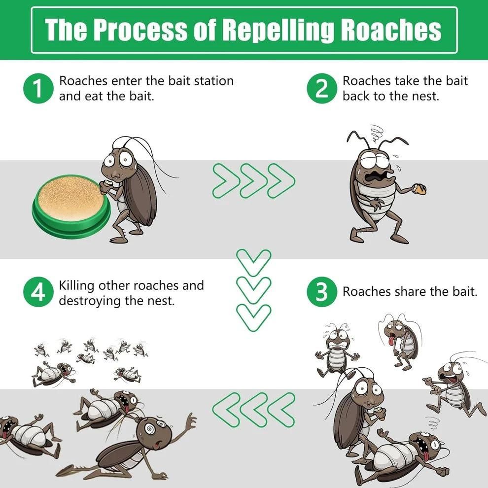 Cockroach Killer Powder Gel – Effective Roach Control Solution (Pack of 2)