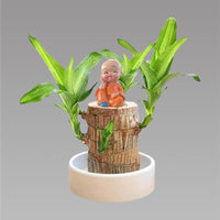 Brazilian Lucky Wood Plant with Mini Monk Decor – Indoor Home Decoration & Positive Energy Plant